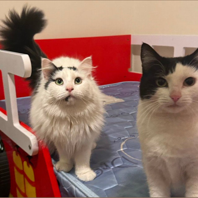Photo of Bon & Lily