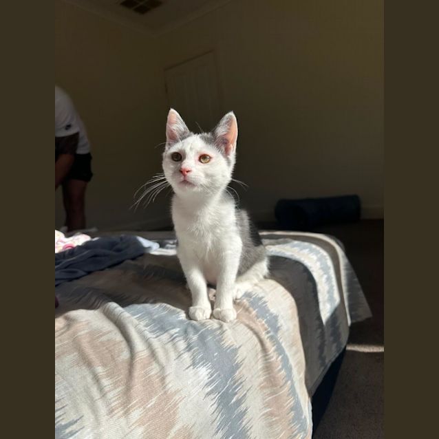 Photo of Marsella/Willow