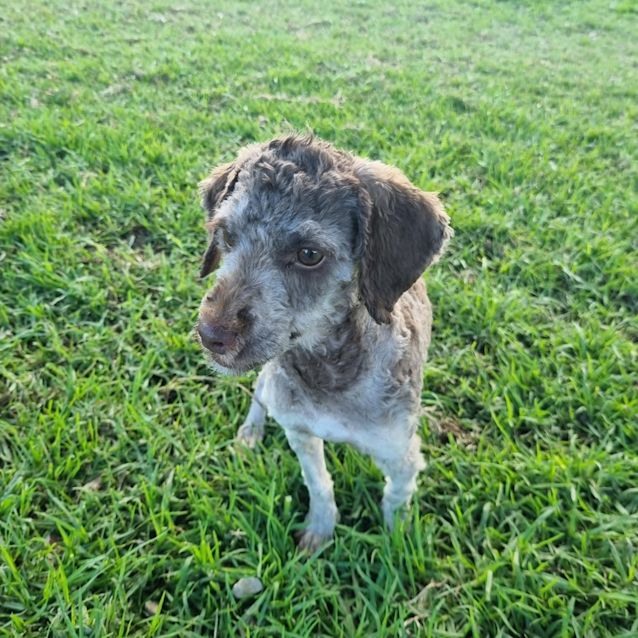 Photo of Reg