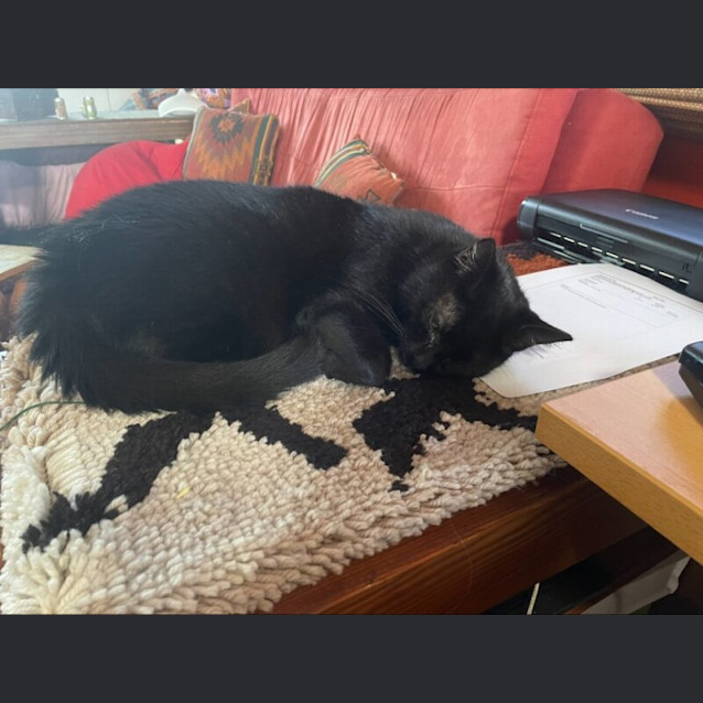 Photo of Astra