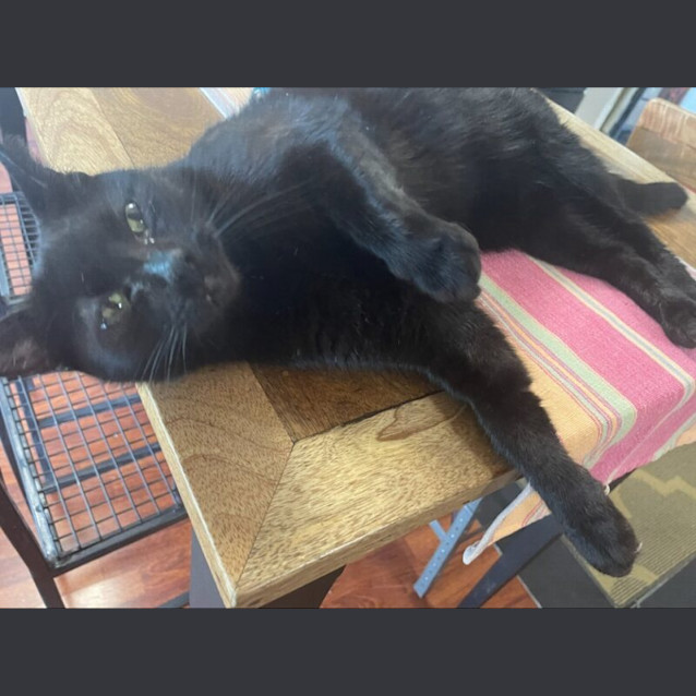 Photo of Astra