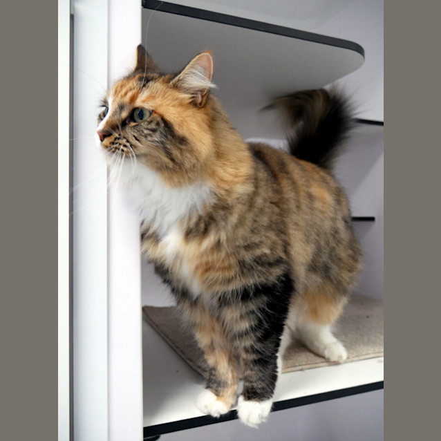 Photo of Angie Sta012528