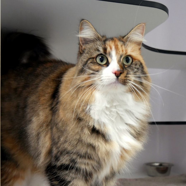 Photo of Angie Sta012528