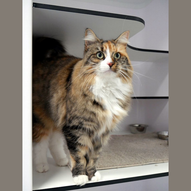 Photo of Angie Sta012528