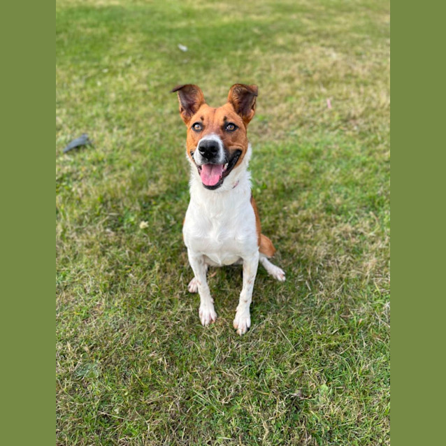 Photo of Bella
