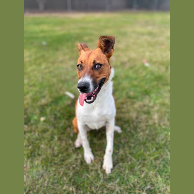 Photo of Bella