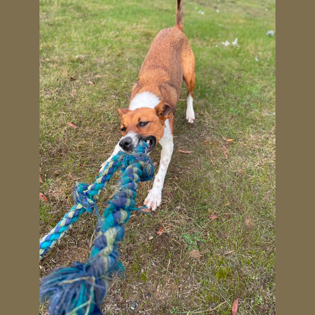 Photo of Bella