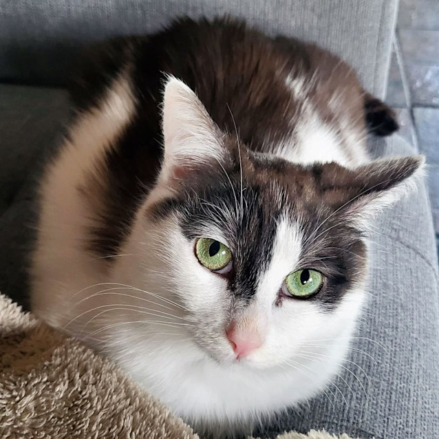 Photo of Mimi Rstk010266