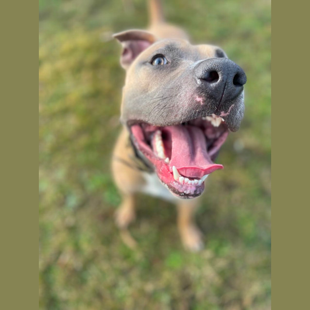 Photo of Zeus