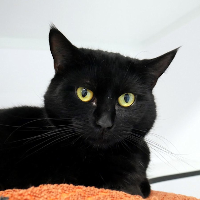 Photo of Fiona Sta012259