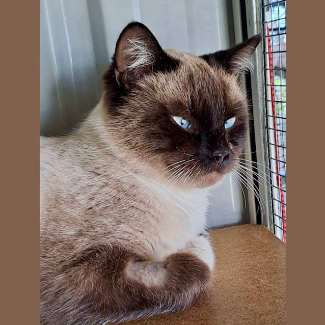 Photo of Rupert