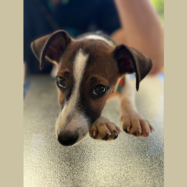 Photo of Molly