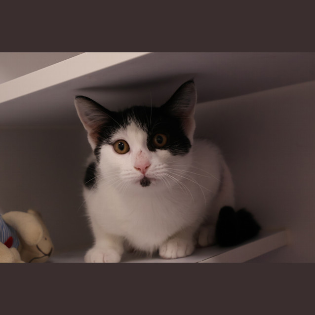 Photo of Maggie