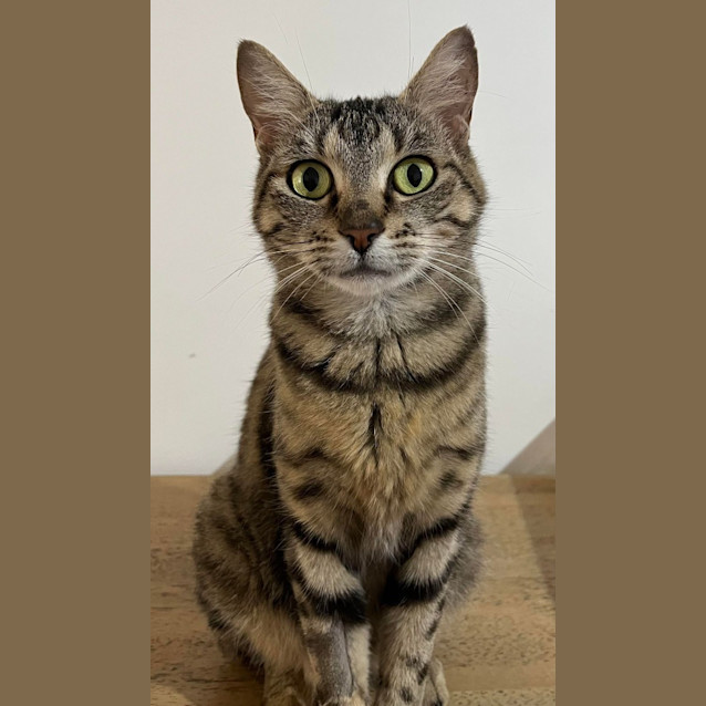 Photo of Geraldine