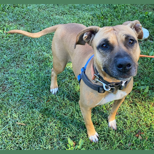 Photo of Honey
