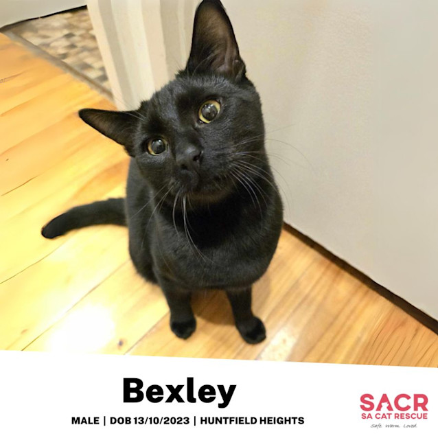 Photo of Bexley