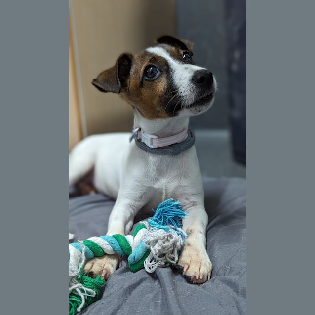 Photo of Molly