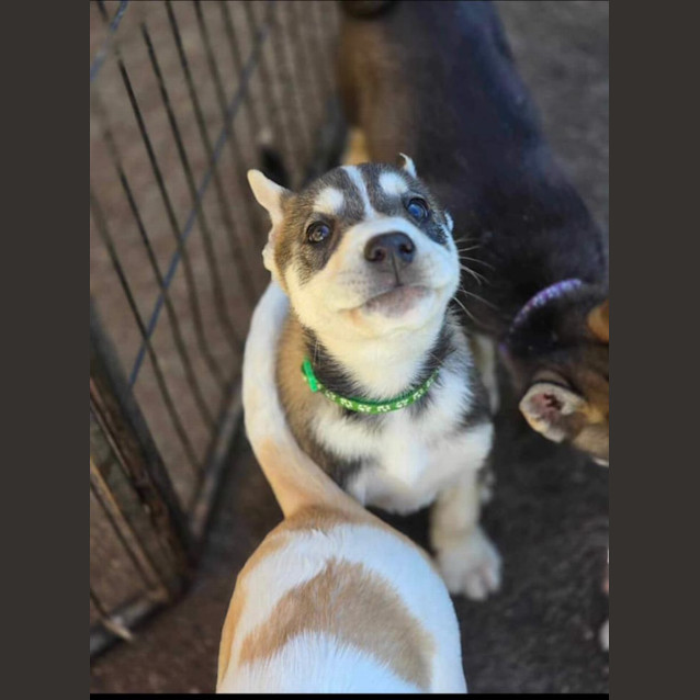 Photo of Emilio Estevez