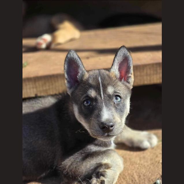 Photo of Andy Mc Dowell