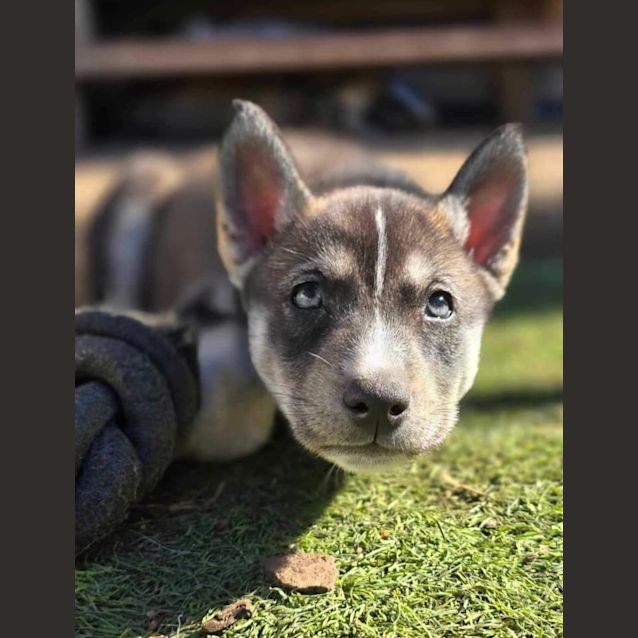 Photo of Andy Mc Dowell