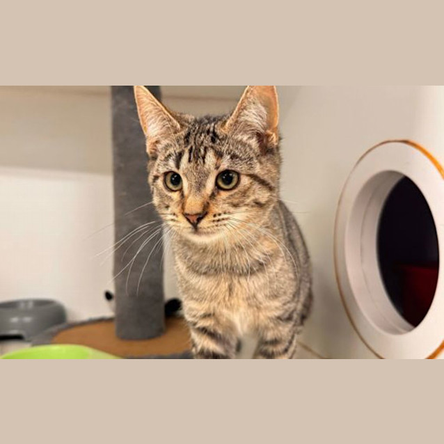 Photo of Guts