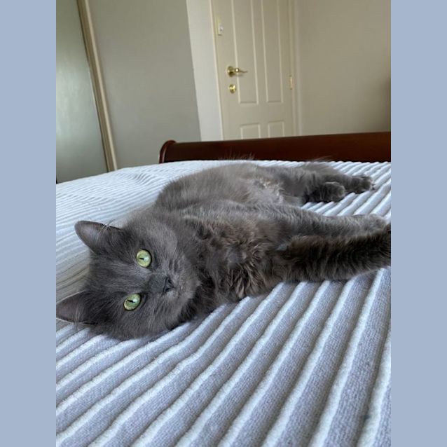 Photo of Smokey
