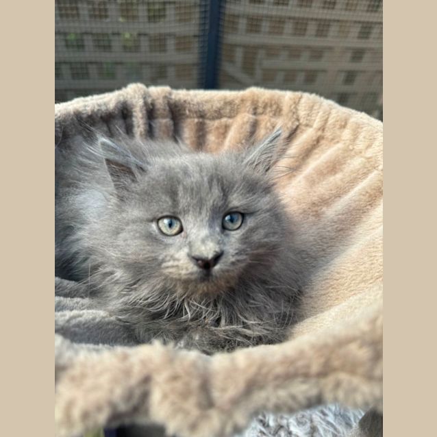 Photo of Alvin