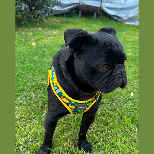 Photo of Fred