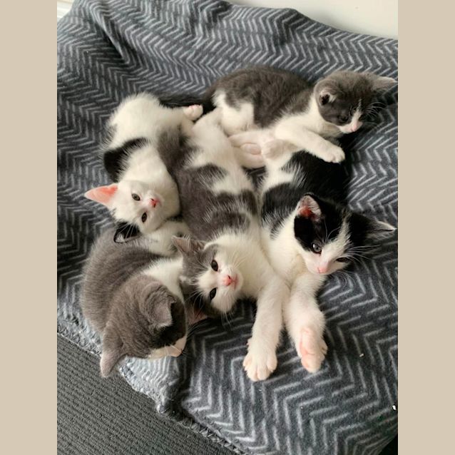 Photo of Nalani 🌸