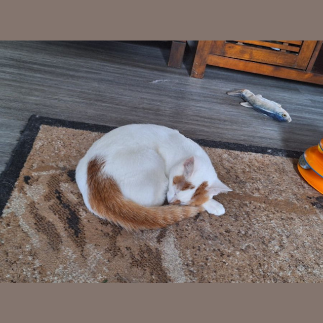 Photo of Sugar & Spice