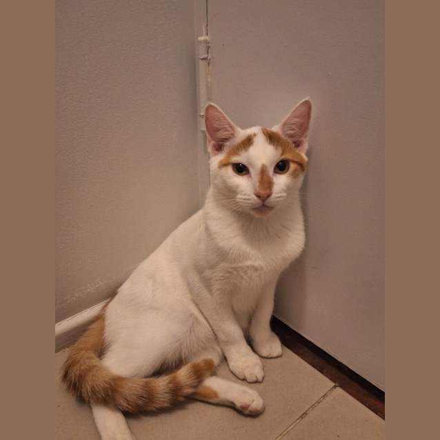 Photo of Sugar & Spice