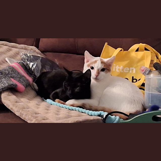 Photo of Sugar & Spice