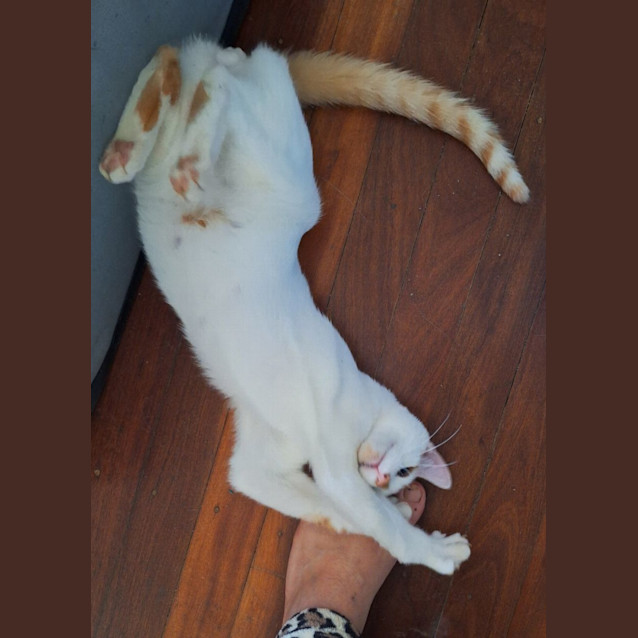 Photo of Sugar & Spice