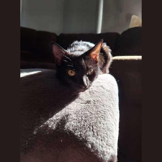 Photo of Sugar & Spice