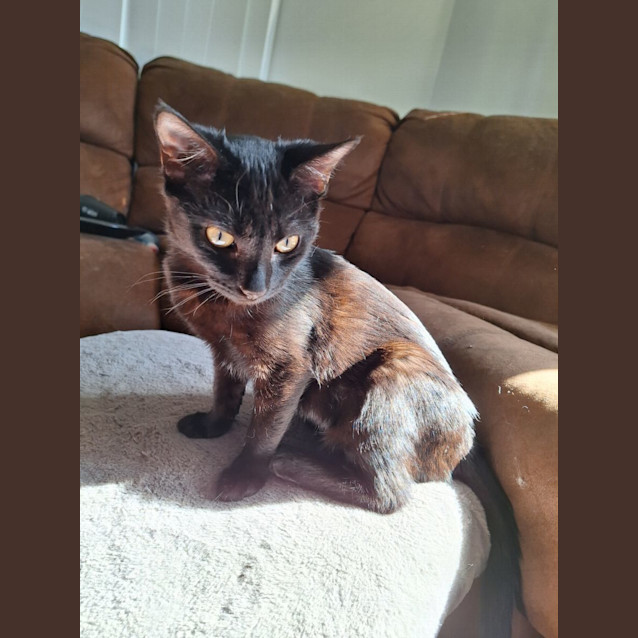 Photo of Sugar & Spice