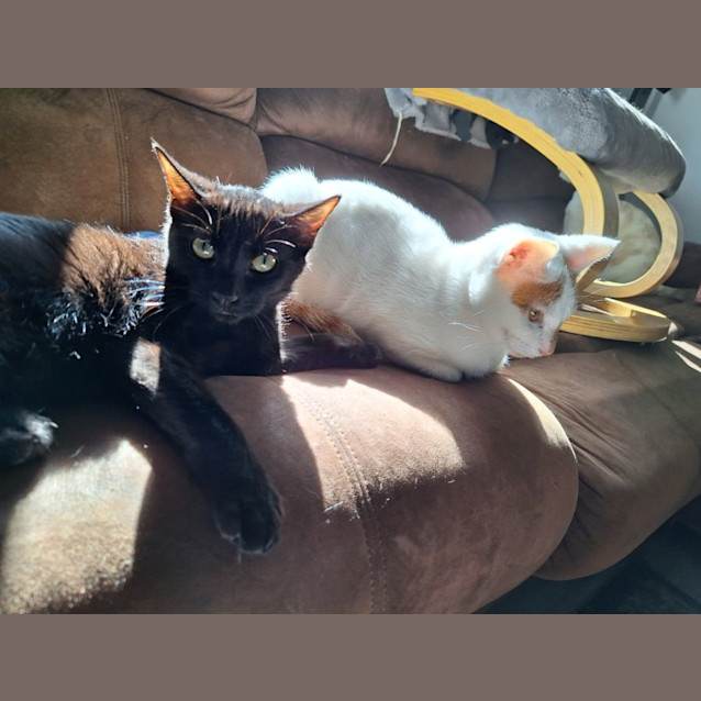 Photo of Sugar & Spice