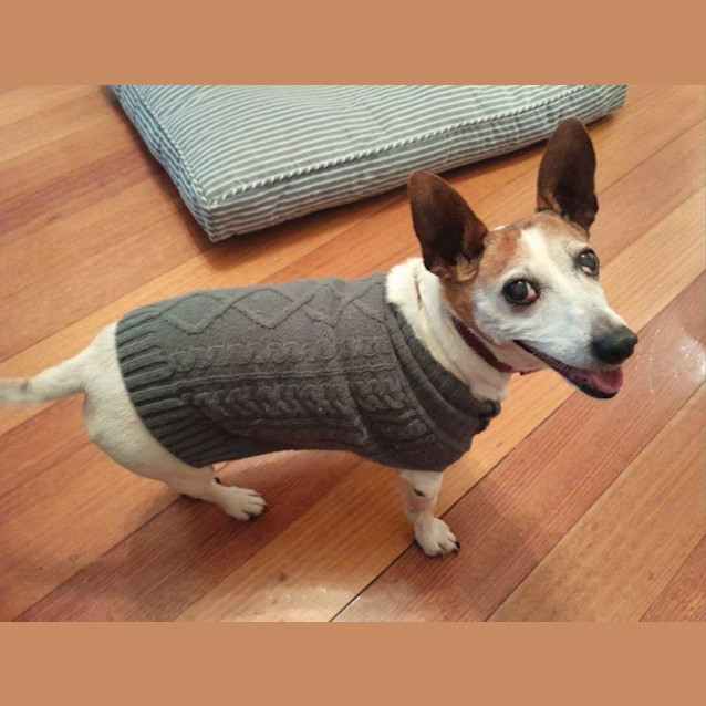 Photo of Terry Falko