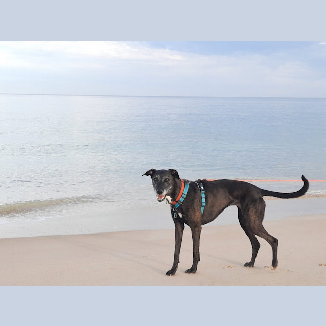 Photo of Azura