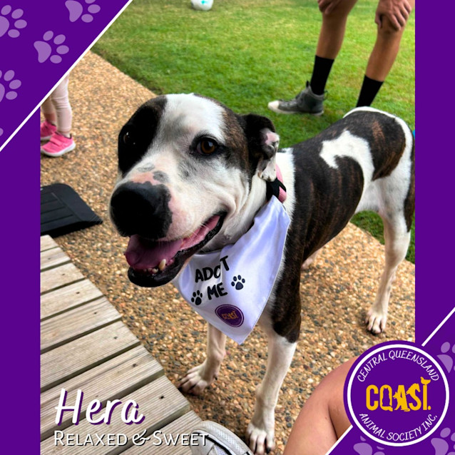 Photo of Hera