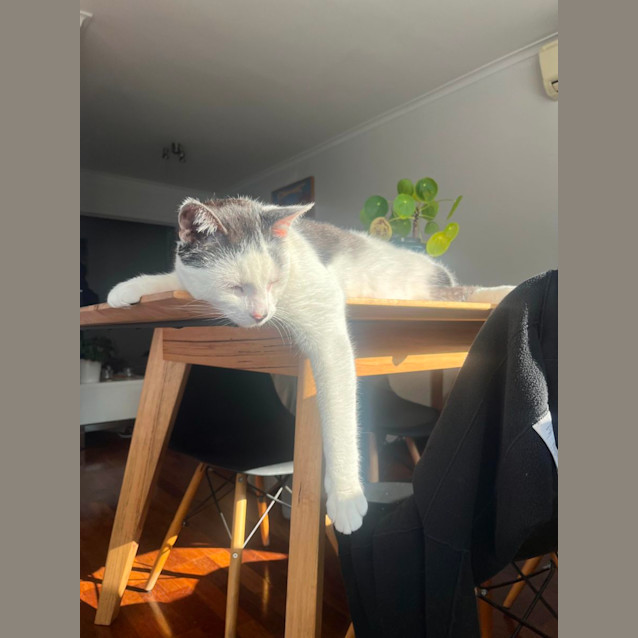 Photo of ⭐️ Ruben ⭐️