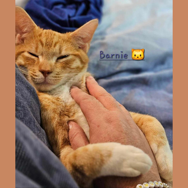 Photo of Barnie & Pumpkin 