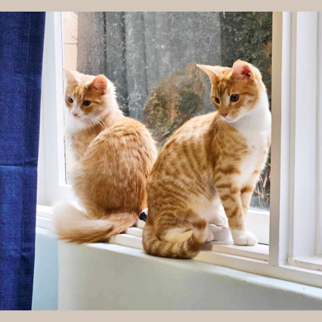 Photo of Barnie & Pumpkin 