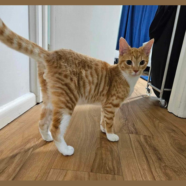 Photo of Barnie & Pumpkin 