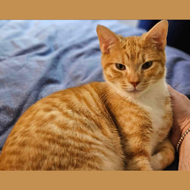 Photo of Barnie & Pumpkin 