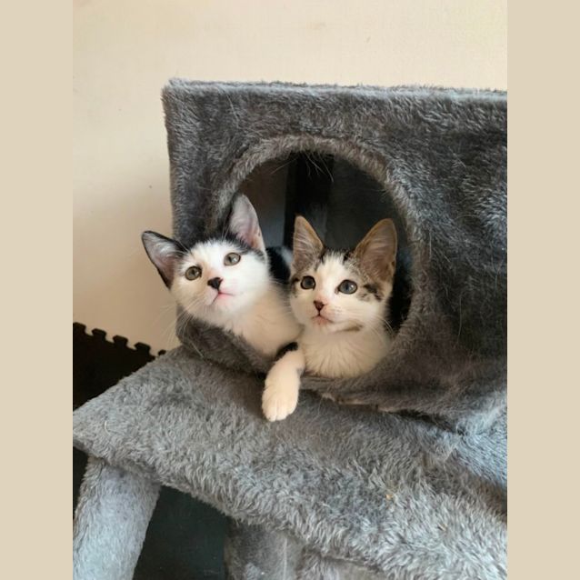 Photo of Mia 🩷🩷🩷🩷🩷🩷