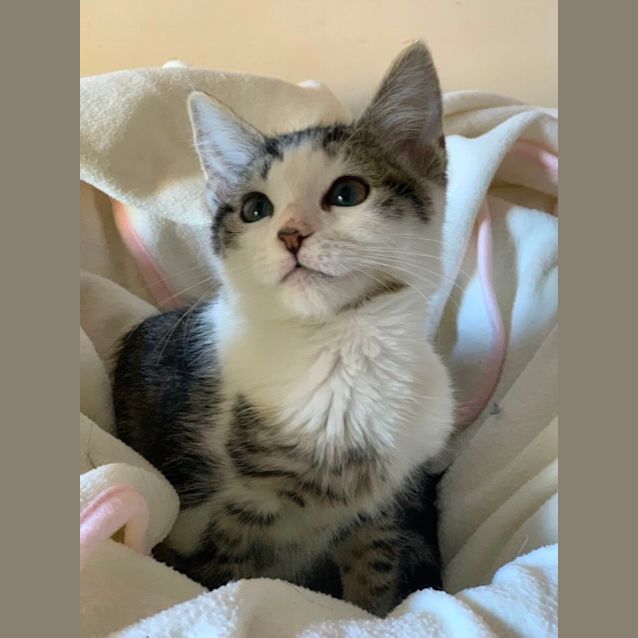 Photo of Mia 🩷🩷🩷🩷🩷🩷