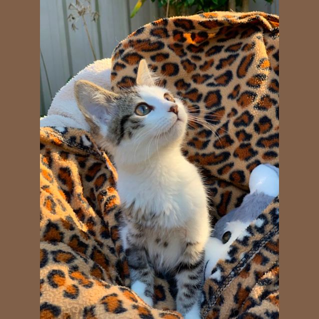 Photo of Mia 🩷🩷🩷🩷🩷🩷