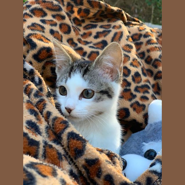 Photo of Mia 🩷🩷🩷🩷🩷🩷