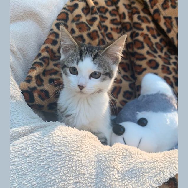 Photo of Mia 🩷🩷🩷🩷🩷🩷