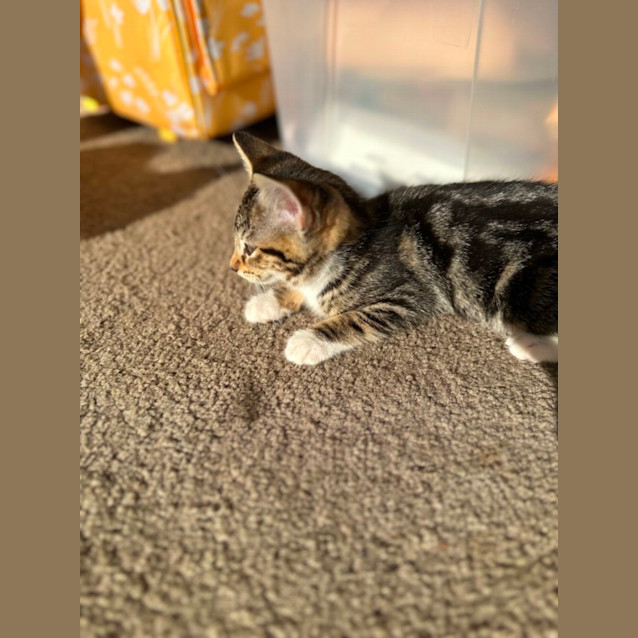 Photo of Bridget